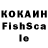 Метадон VHQ Karosa