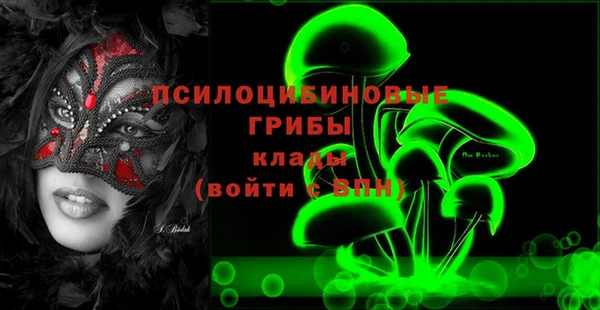 spice Абаза